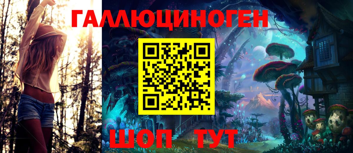 Псилоцибиновые грибы Psilocybine cubensis Азнакаево