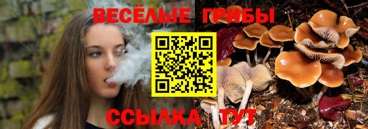 Псилоцибиновые грибы мухоморы Азнакаево